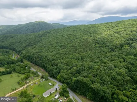 Cubbage Hollow Road, Lot 75 - 40.55 Acres Stanley VA 22851