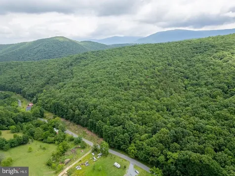Cubbage Hollow Road, Lot 75 - 40.55 Acres Stanley VA 22851