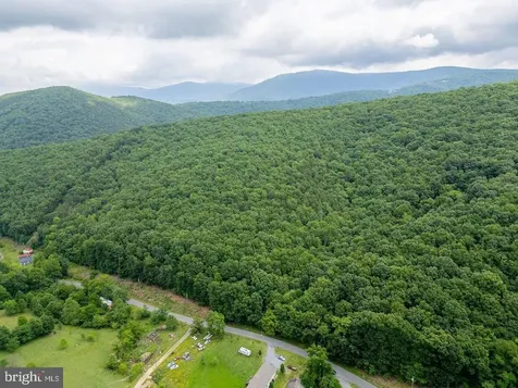 Cubbage Hollow Road, Lot 75 - 40.55 Acres Stanley VA 22851