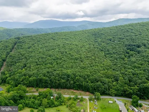 Cubbage Hollow Road, Lot 75 - 40.55 Acres Stanley VA 22851
