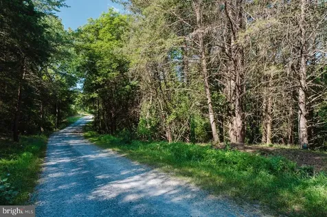 Riverview Road Luray VA 22835
