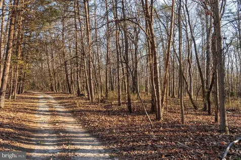 0 Woodland Drive Luray VA 22835