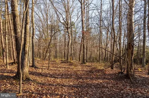 0 Woodland Drive Luray VA 22835