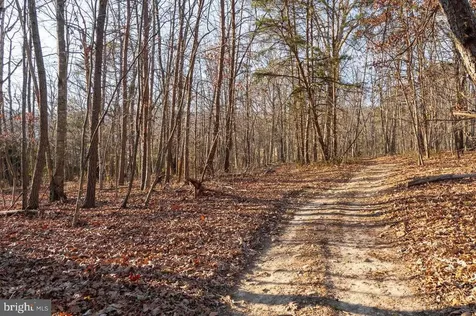 0 Woodland Drive Luray VA 22835