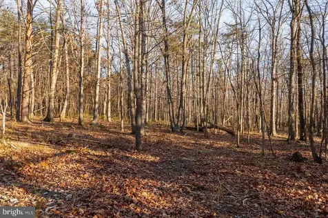 0 Woodland Drive Luray VA 22835