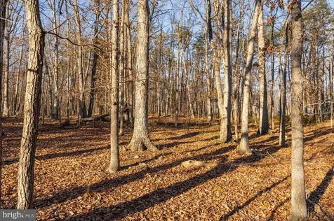0 Woodland Drive Luray VA 22835