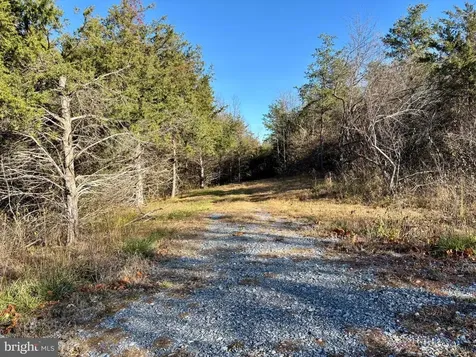 Harper Valley Road Luray VA 22835