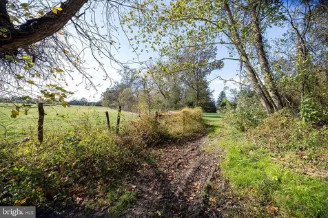 0 Dry Run Road Luray VA 22835