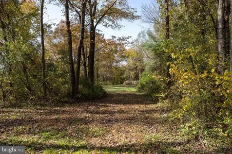 0 Dry Run Road Luray VA 22835