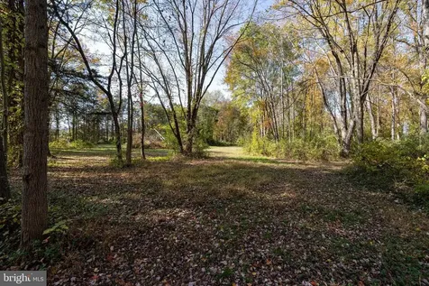 0 Dry Run Road Luray VA 22835