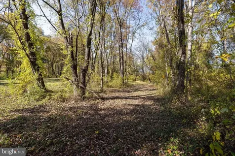 0 Dry Run Road Luray VA 22835