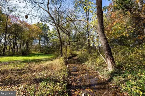 0 Dry Run Road Luray VA 22835