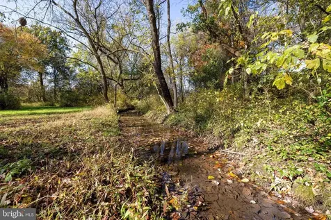 0 Dry Run Road Luray VA 22835