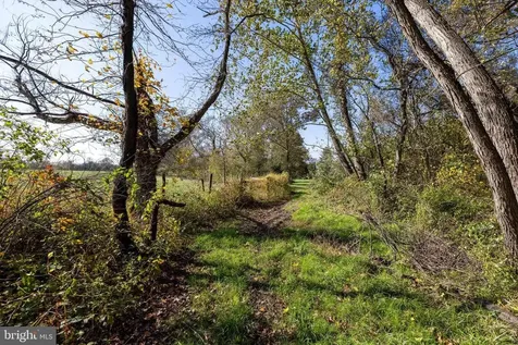 0 Dry Run Road Luray VA 22835