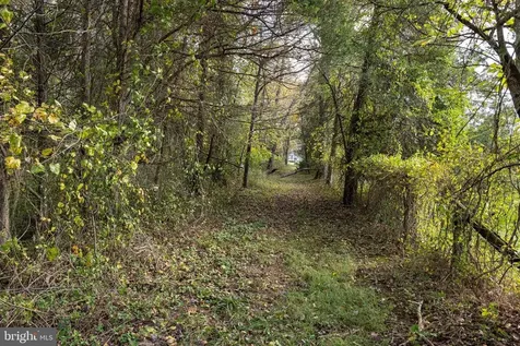 0 Dry Run Road Luray VA 22835