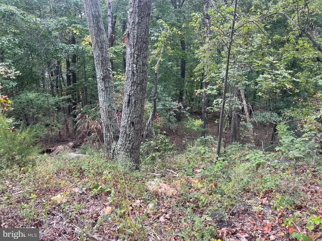 Panorama View Stanley VA 22851