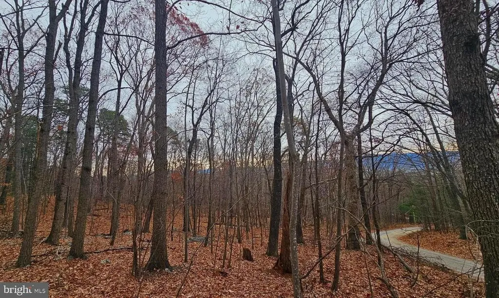 Luray VA, Forest Drive Extension