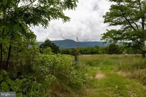 501 Fork Road S Luray VA 22835