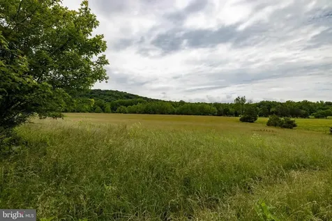 501 Fork Road S Luray VA 22835