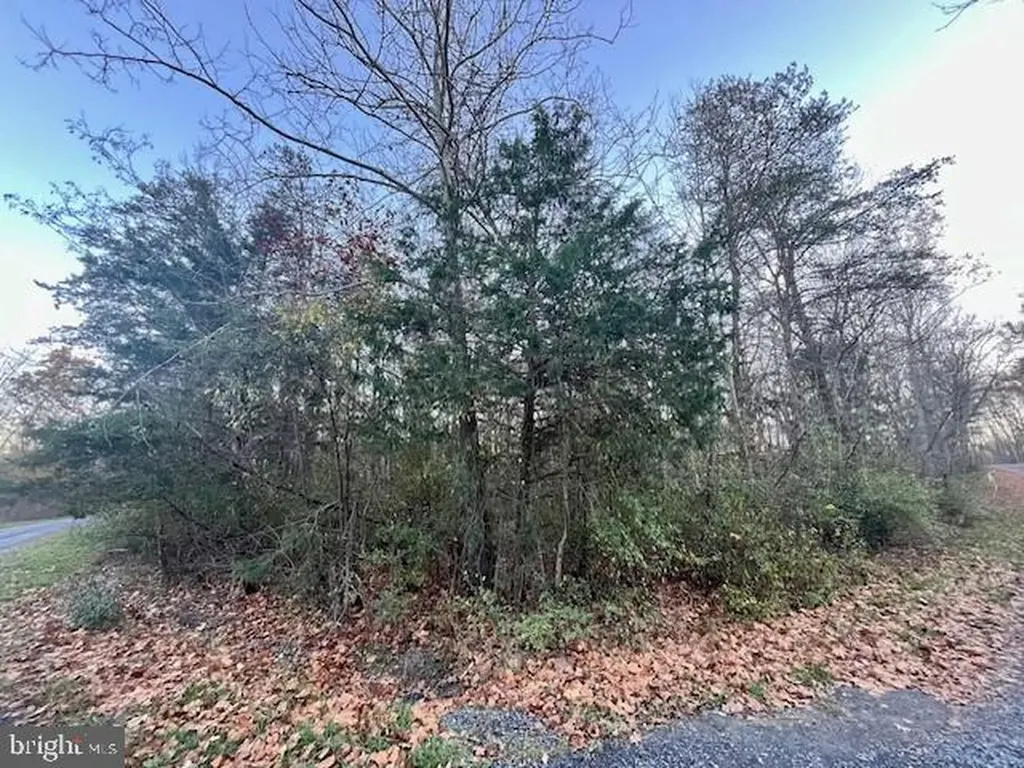 Oak Lane Luray VA 22835