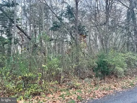 Oak Lane Luray VA 22835