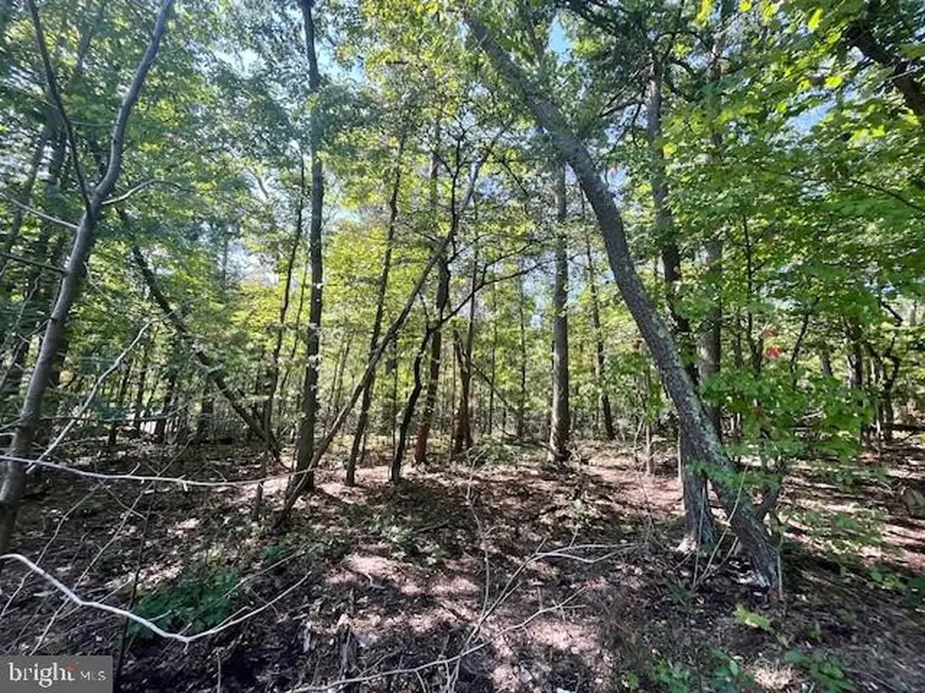 Cardinal Drive Luray VA 22835