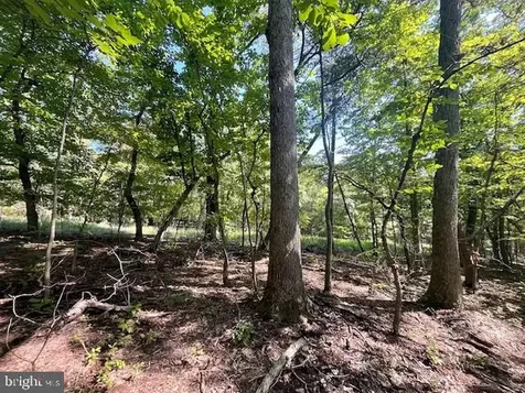 Cardinal Drive Luray VA 22835