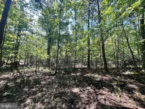 Cardinal Drive Luray VA 22835
