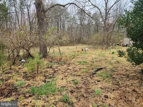 8228 Flippo Drive Fredericksburg VA 22408