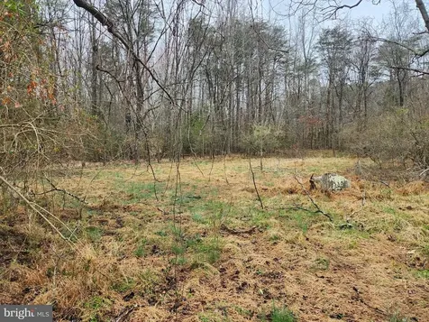 8228 Flippo Drive Fredericksburg VA 22408