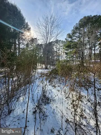 9546 Rapidan Drive Fredericksburg VA 22407