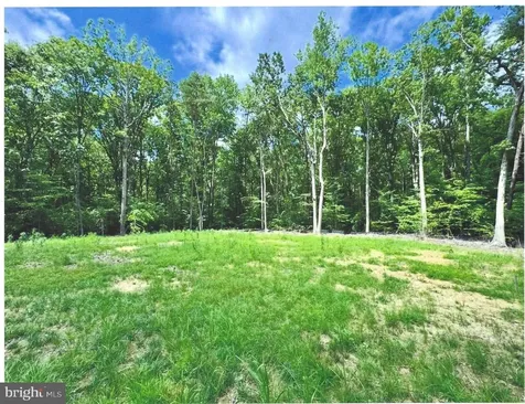 14409 Spotswood Furnace Road Fredericksburg VA 22407