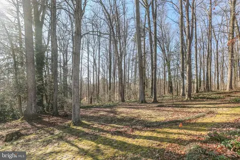 4004 Longwood Drive Fredericksburg VA 22408