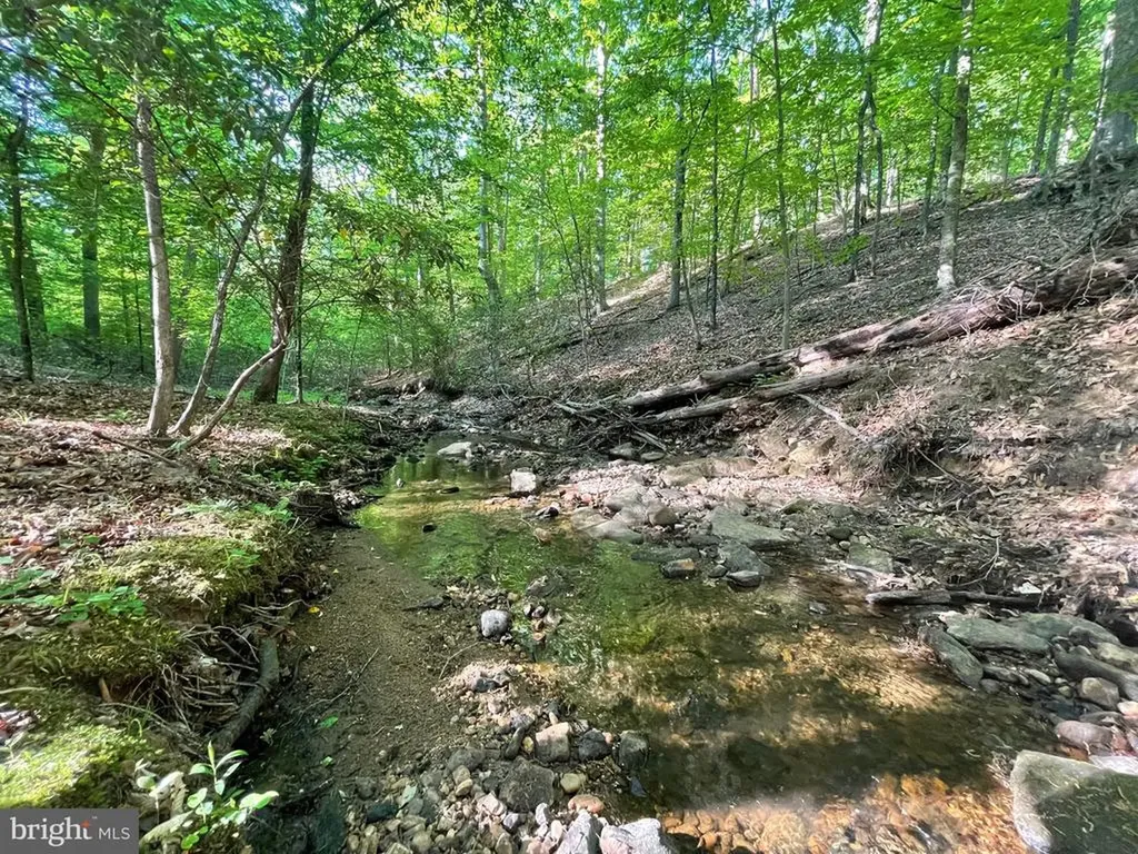 Deer Mountain Road Fredericksburg VA 22407