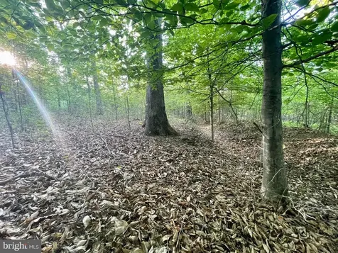 Deer Mountain Road Fredericksburg VA 22407