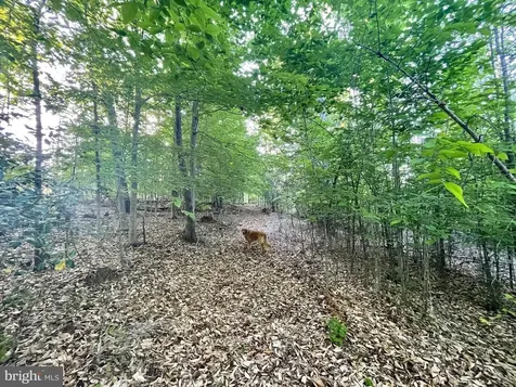 Deer Mountain Road Fredericksburg VA 22407