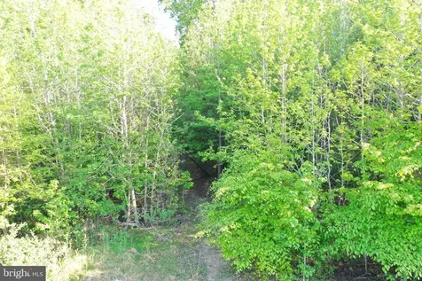 Deer Mountain Road Fredericksburg VA 22407