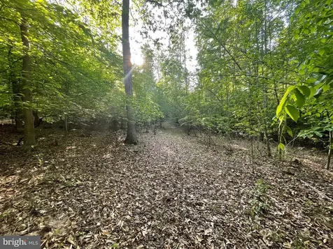 Deer Mountain Road Fredericksburg VA 22407
