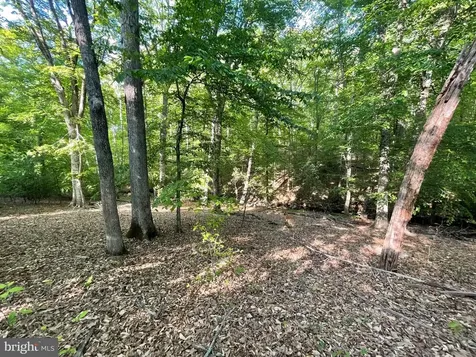 Deer Mountain Road Fredericksburg VA 22407