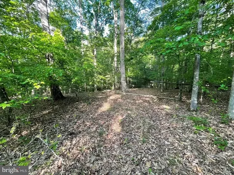 Deer Mountain Road Fredericksburg VA 22407