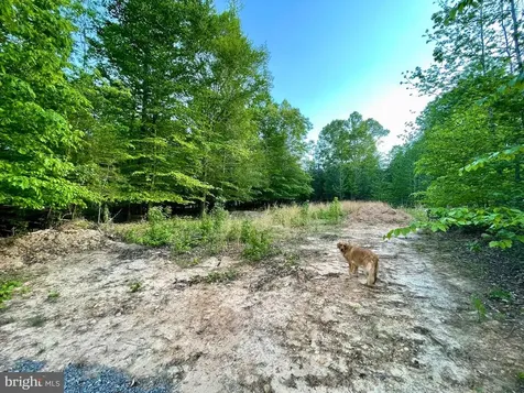 Deer Mountain Road Fredericksburg VA 22407