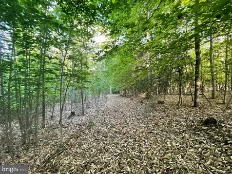 Deer Mountain Road Fredericksburg VA 22407