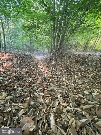 Deer Mountain Road Fredericksburg VA 22407