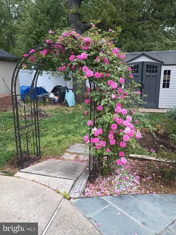 8 Pond Circle Fredericksburg VA 22407