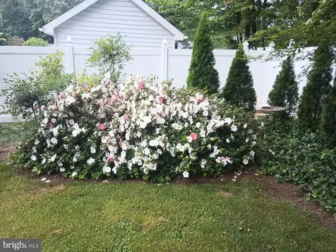 8 Pond Circle Fredericksburg VA 22407