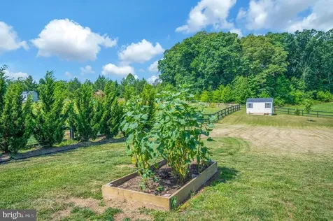 7918 Continental Court Fredericksburg VA 22407
