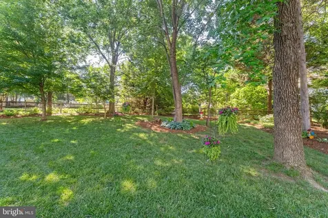 4104 Amelia Drive Fredericksburg VA 22408