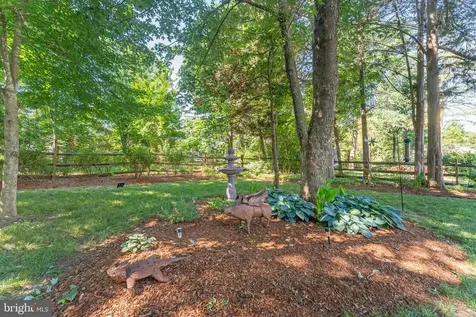 4104 Amelia Drive Fredericksburg VA 22408