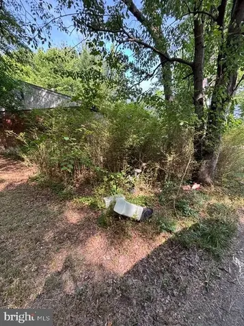10528 Coles Lane Fredericksburg VA 22408