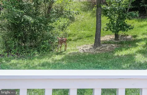 5612 Cedar Mountain Court Fredericksburg VA 22407